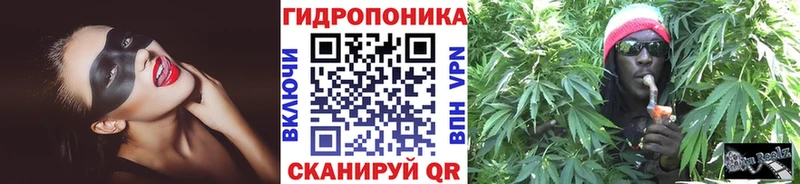 где можно купить   Чистополь  Бошки марихуана ГИДРОПОН 